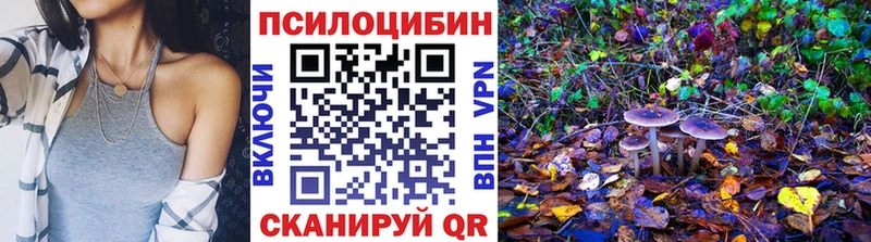 Галлюциногенные грибы Psilocybine cubensis  Лодейное Поле 